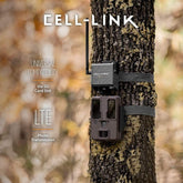 Universal compatibility with most trail cameras using SD cards and JPEG images up to 20 MP.
